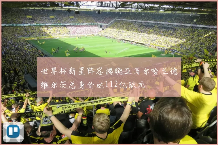 世界杯新星阵容揭晓亚马尔哈兰德维尔茨总身价达112亿欧元